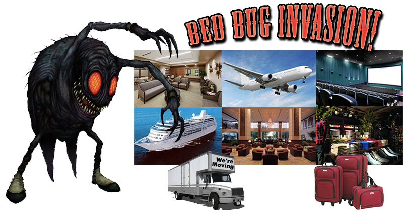 How To Remove Bed Bugs San Diego