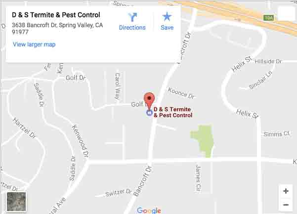 Pest Control Termite Control San Diego